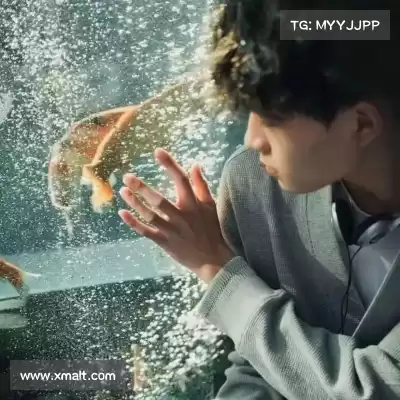 成鸣福